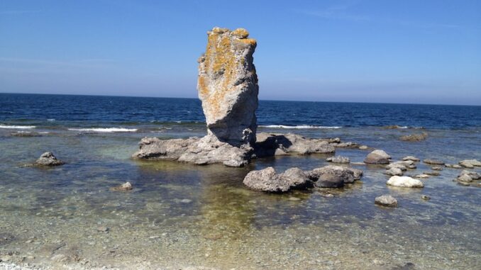 uploaded-image-kirk-agacin-hava-kirliligi-temizligi-1698140205623