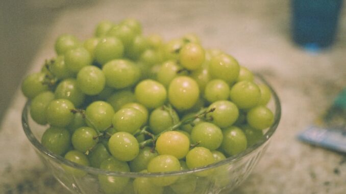 uploaded-image-kirk-agacin-yetistirilmesi-ve-bakimi-1698140211834